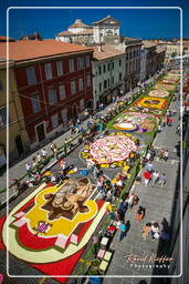 Infiorata von Genzano di Roma 2007 (222)