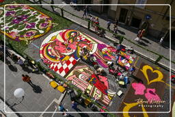 Infiorata de Genzano di Roma 2007 (223)