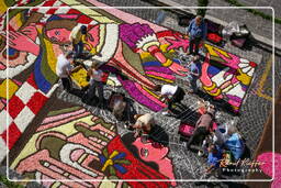 Infiorata von Genzano di Roma 2007 (224)