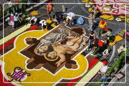 Infiorata von Genzano di Roma 2007 (225)