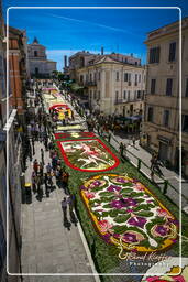 Infiorata von Genzano di Roma 2007 (227)