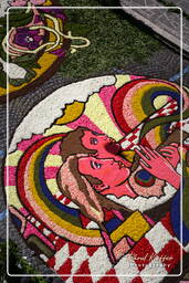 Infiorata von Genzano di Roma 2007 (229)