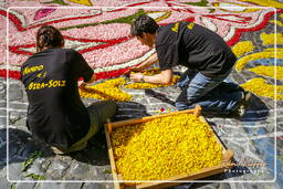 Infiorata di Genzano di Roma 2007 (231)