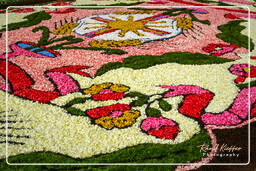 Infiorata de Genzano di Roma 2007 (234)