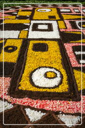 Infiorata de Genzano di Roma 2007 (235)