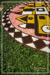 Infiorata de Genzano di Roma 2007 (236)