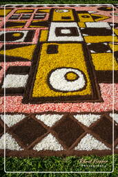 Infiorata von Genzano di Roma 2007 (237)