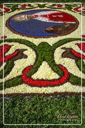 Infiorata von Genzano di Roma 2007 (240)