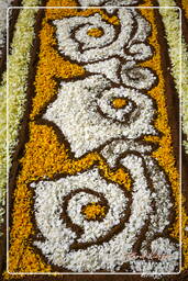 Infiorata of Genzano di Roma 2007 (242)