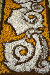 Infiorata von Genzano di Roma 2007 (243)