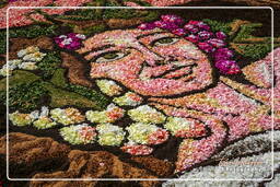 Infiorata von Genzano di Roma 2007 (244)