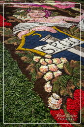 Infiorata von Genzano di Roma 2007 (245)