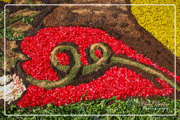 Infiorata of Genzano di Roma 2007 (247)