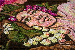 Infiorata di Genzano di Roma 2007 (249)