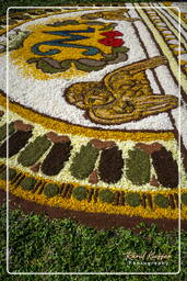 Infiorata di Genzano di Roma 2007 (251)