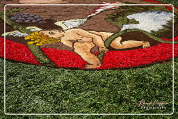 Infiorata of Genzano di Roma 2007 (254)