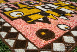 Infiorata di Genzano di Roma 2007 (256)