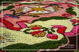 Infiorata de Genzano di Roma 2007 (259)