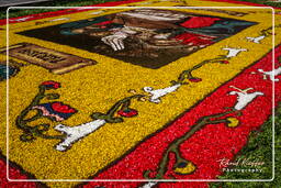 Infiorata de Genzano di Roma 2007 (261)