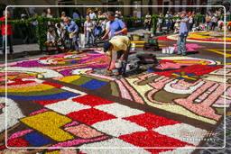 Infiorata di Genzano di Roma 2007 (264)