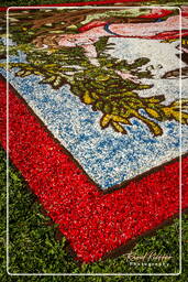 Infiorata von Genzano di Roma 2007 (266)