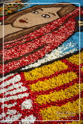 Infiorata von Genzano di Roma 2007 (271)