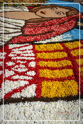 Infiorata di Genzano di Roma 2007 (272)