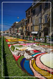 Infiorata di Genzano di Roma 2007 (277)