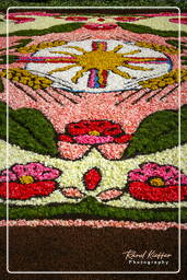 Infiorata von Genzano di Roma 2007 (278)