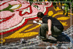 Infiorata von Genzano di Roma 2007 (279)