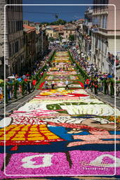 Infiorata von Genzano di Roma 2007 (281)