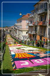 Infiorata of Genzano di Roma 2007 (284)