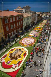 Infiorata of Genzano di Roma 2007 (285)