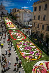 Infiorata de Genzano di Roma 2007 (287)