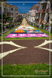 Infiorata di Genzano di Roma 2007 (291)