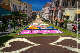 Infiorata of Genzano di Roma 2007 (293)