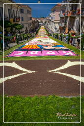 Infiorata de Genzano di Roma 2007 (294)