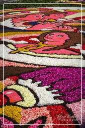 Infiorata von Genzano di Roma 2007 (298)