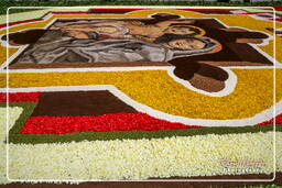 Infiorata de Genzano di Roma 2007 (299)