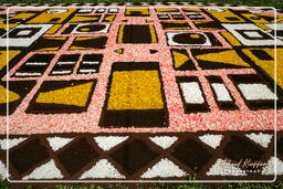 Infiorata von Genzano di Roma 2007 (301)