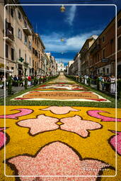 Infiorata of Genzano di Roma 2007 (309)