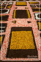 Infiorata von Genzano di Roma 2007 (314)