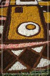 Infiorata von Genzano di Roma 2007 (315)