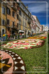 Infiorata von Genzano di Roma 2007 (317)