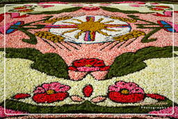 Infiorata von Genzano di Roma 2007 (318)