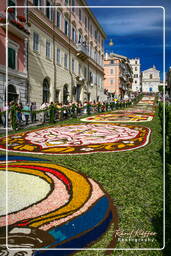 Infiorata de Genzano di Roma 2007 (321)