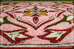 Infiorata of Genzano di Roma 2007 (322)