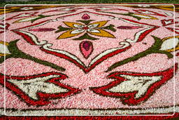 Infiorata de Genzano di Roma 2007 (322)