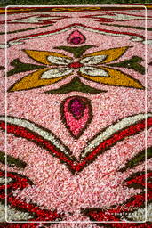 Infiorata of Genzano di Roma 2007 (323)