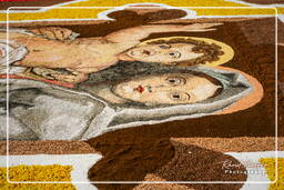 Infiorata von Genzano di Roma 2007 (324)